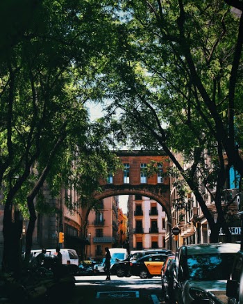 Unsplash ID DrbkePGJeVI