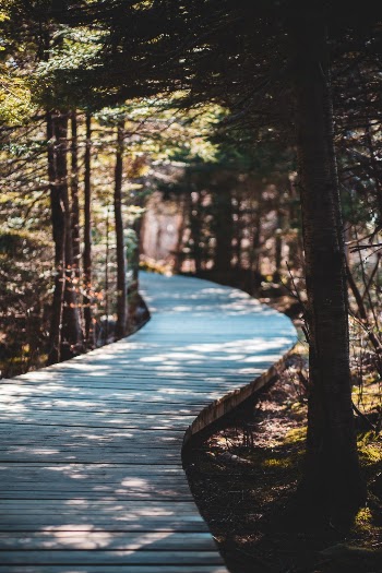 Unsplash ID dRRFeDpxB_4