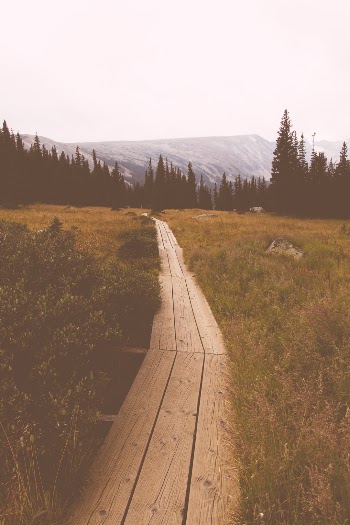 Unsplash ID ds7AAEECPHI