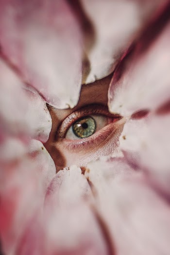 Unsplash ID dsdUl8I7-2g