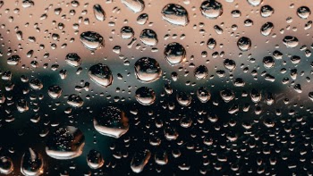 Unsplash ID dTPc7FRIf3k