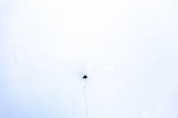 Unsplash ID dTTpVJmAPXo