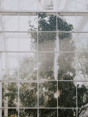 Unsplash ID DtvdCW3fFPs
