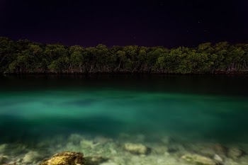 Unsplash ID DVepzdHCIso