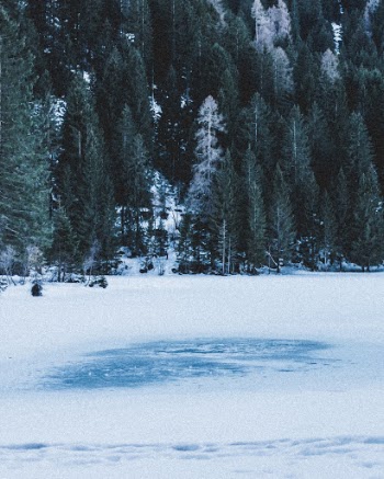 Unsplash ID dw5cnUACb94