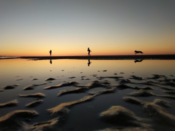 Unsplash ID dXE7sK_uaEM