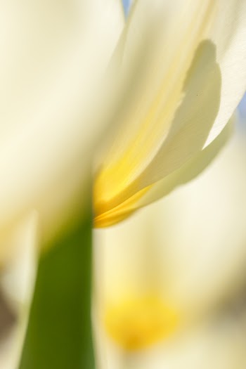 Unsplash ID dYh0sZ1D05M