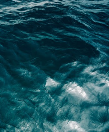 Unsplash ID dYLlEVMfUbc