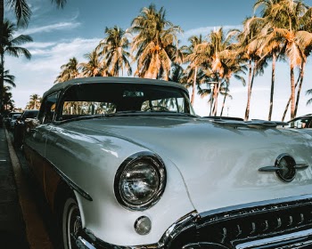 Unsplash ID DZ54UkxcpV8