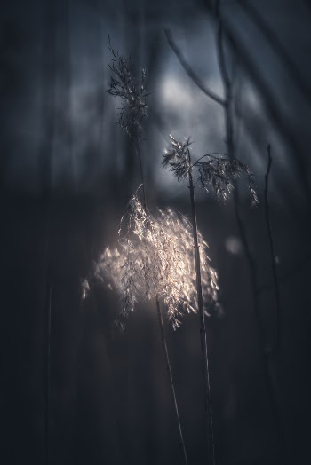Unsplash ID Dzzav9iANwA