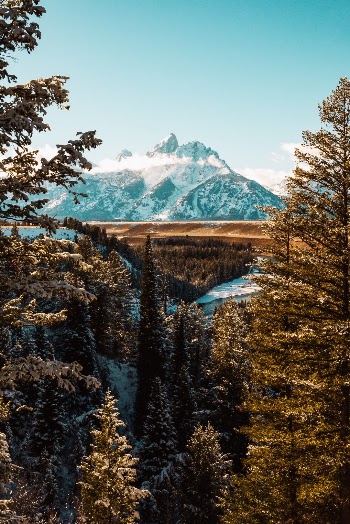 Unsplash ID E-meWlUFfbM