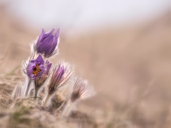 Unsplash ID e02IbFu5eYg