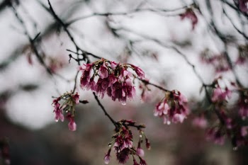 Unsplash ID e1njCjMYBHI
