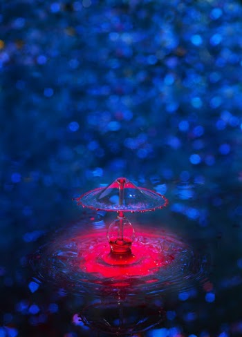 Unsplash ID E2ZuBbBtrVk