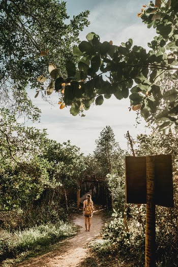 Unsplash ID e3DEw8Ck9jw
