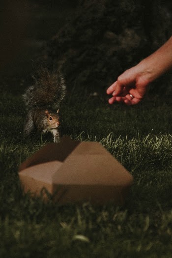 Unsplash ID e5388vfxA_E