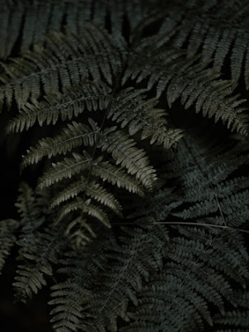 Unsplash ID e8R5ATqC8-0