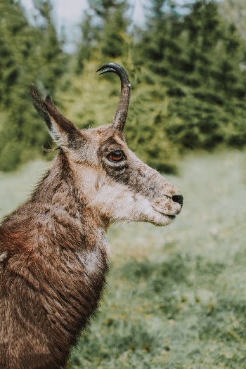 Unsplash ID EareE6FLxqE