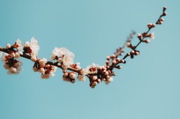 Unsplash ID EB546E6QK9Q