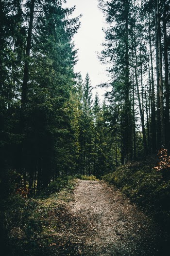 Unsplash ID EB9F9-cV02U
