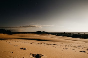 Unsplash ID Ecxi7m1nap4
