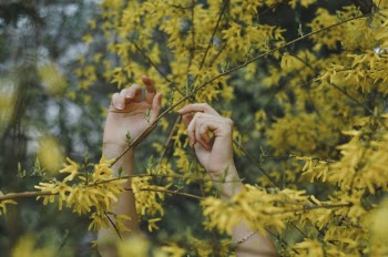 Unsplash ID ed3oNXjt4U8