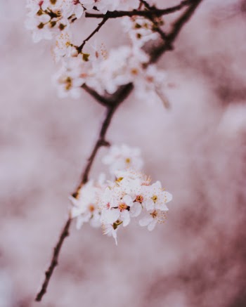 Unsplash ID ED7lZJGbMKc