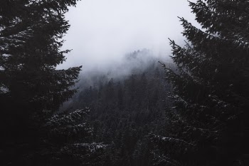 Unsplash ID eDfb2vObvvs