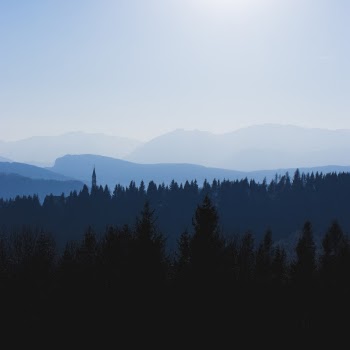 Unsplash ID ee7NSnKigkA