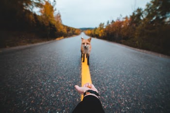 Unsplash ID efCmSXuNryU