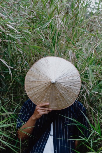Unsplash ID EfM0VZ8IJVI