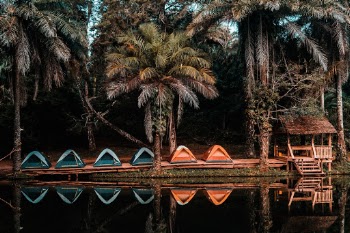 Unsplash ID Eg6NKg7GYkA