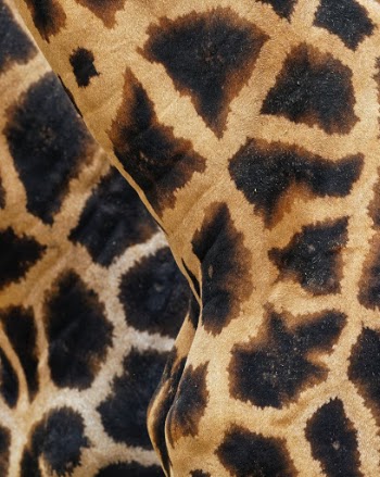 Unsplash ID EGlCSY83Vec