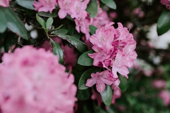 Unsplash ID EhCQ3jbRZxw