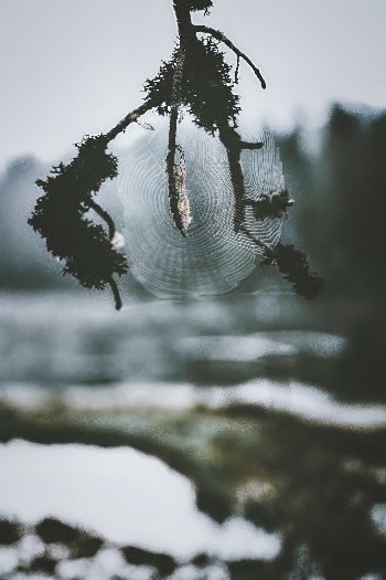 Unsplash ID EHyQBXsyFFg