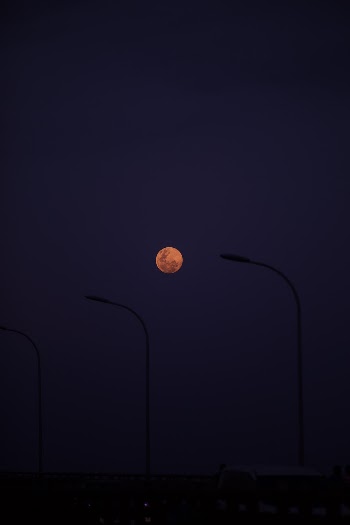 Unsplash ID ej4VkL6djCM