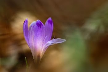 Unsplash ID EjHiszWm1Sg