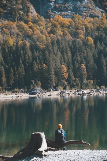 Unsplash ID EJkTygsNpzc