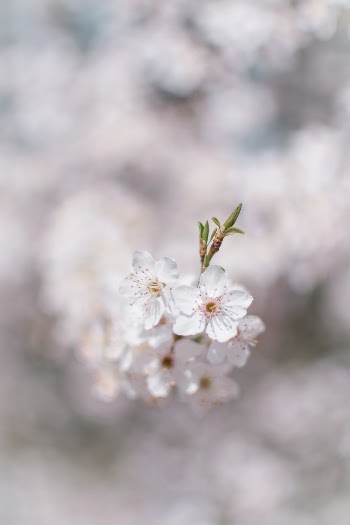 Unsplash ID EJxDeY-iT8A