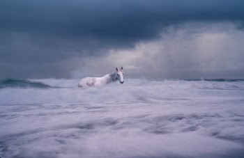 Unsplash ID elJc2RFEg7M