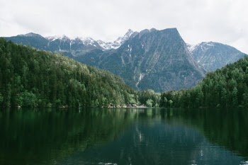 Unsplash ID elMz_DEwavA