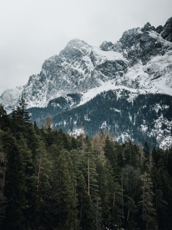 Unsplash ID ElOpIMNu-eA