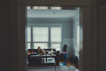 Unsplash ID eNCYxWPbMKc