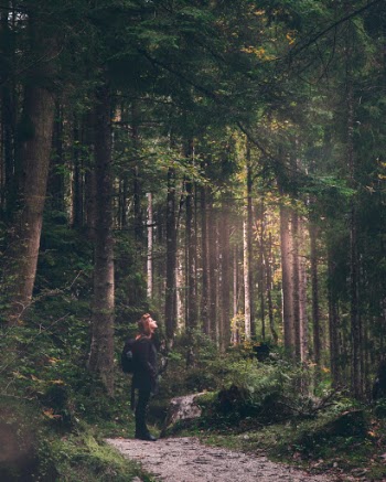 Unsplash ID eOCHCYouAPw