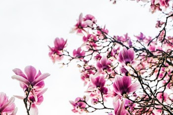 Unsplash ID EpjG7TWDogY