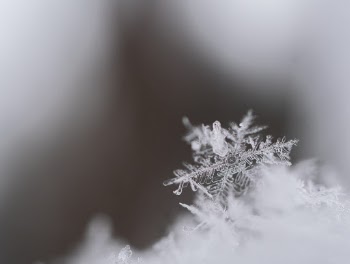 Unsplash ID ePwEGur8gIw