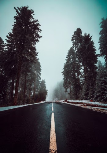Unsplash ID EQsfRQ3SVoU