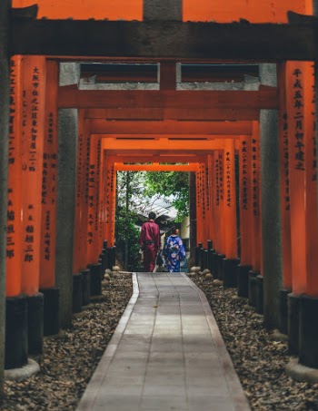 Unsplash ID eRNWnwY63Cg