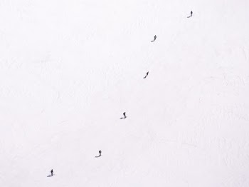 Unsplash ID Erq6H8264I0