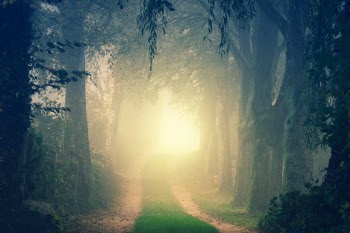 Unsplash ID ERrzhRFzO5w